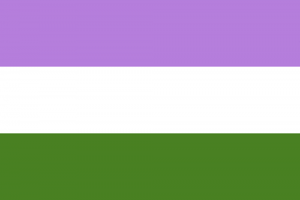 LGBTIQ Gender Identity Pride Flag - GenderQueer