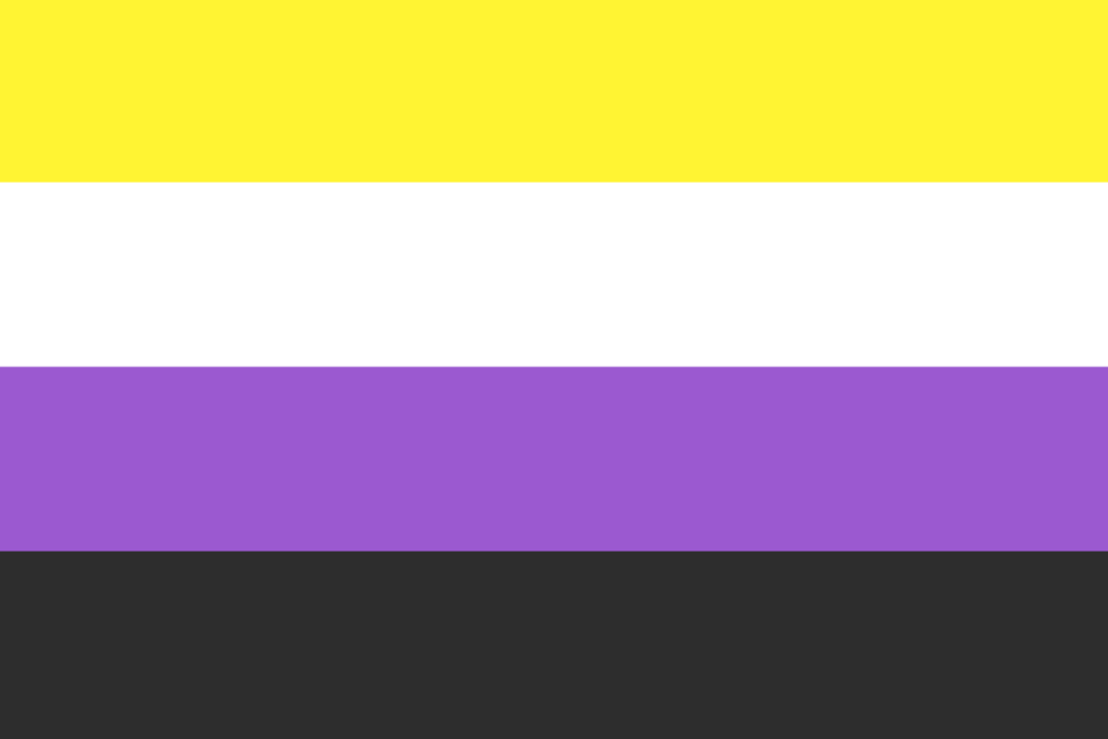 Non Binary All The Lgbtq Flags And Meanings 17 Commonly Used Lgbtq 3015