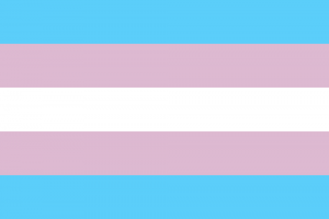 LGBTIQ Gender Identity Pride Flag - Transgender