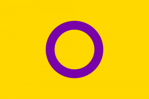 LGBTIQ Sex & Gender Pride Flag - Intersex (OII)