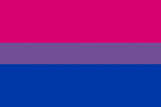 pink and blue gay flag meaning