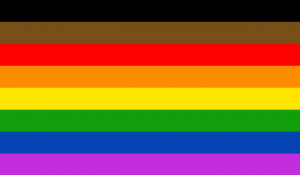 Black Brown 8 Color PoC Rainbow Pride Flag