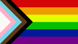 Black Brown Trans Progress Rainbow Pride Flag